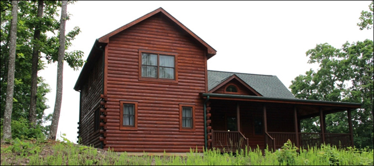 Professional Log Home Borate Application  Lucama,  North Carolina